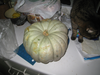Illustration for article titled What Do I Do with a Pumpkin?